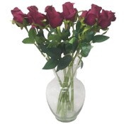 Wholesale - Fuschia Rose Stem 20.5" C/P 288, UPC: 763713423176